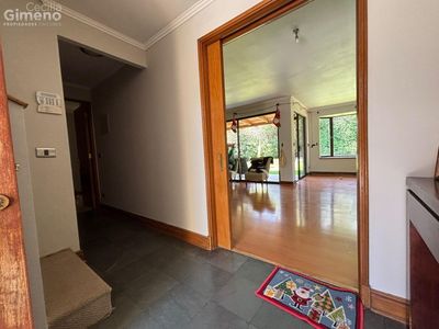 Imagen Interior Numero 6